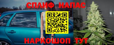 PSILOCYBIN Малоярославец