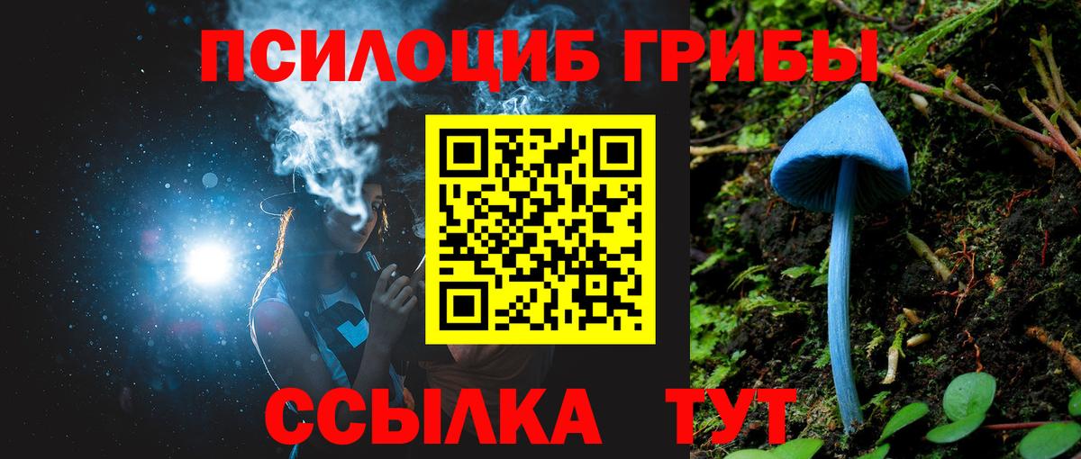 Псилоцибиновые грибы MAGIC MUSHROOMS Гагарин