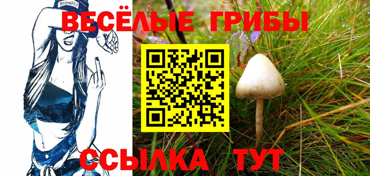 Псилоцибиновые грибы GOLDEN TEACHER  Вход с VPN  Гагарин 